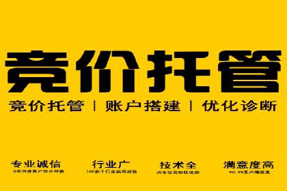 SEM竞价优化实战：案例解析如何提高广告转化率